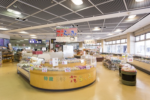 道の駅みくにと とみつ金時さつまいも掘り