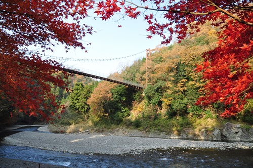 総貯水量日本一の徳山ダム見学とつり橋から眺める多良峡紅葉