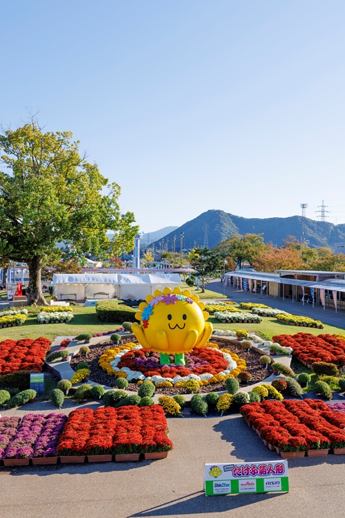 蟹かに亭ランチとOSK観劇券付たけふ菊人形