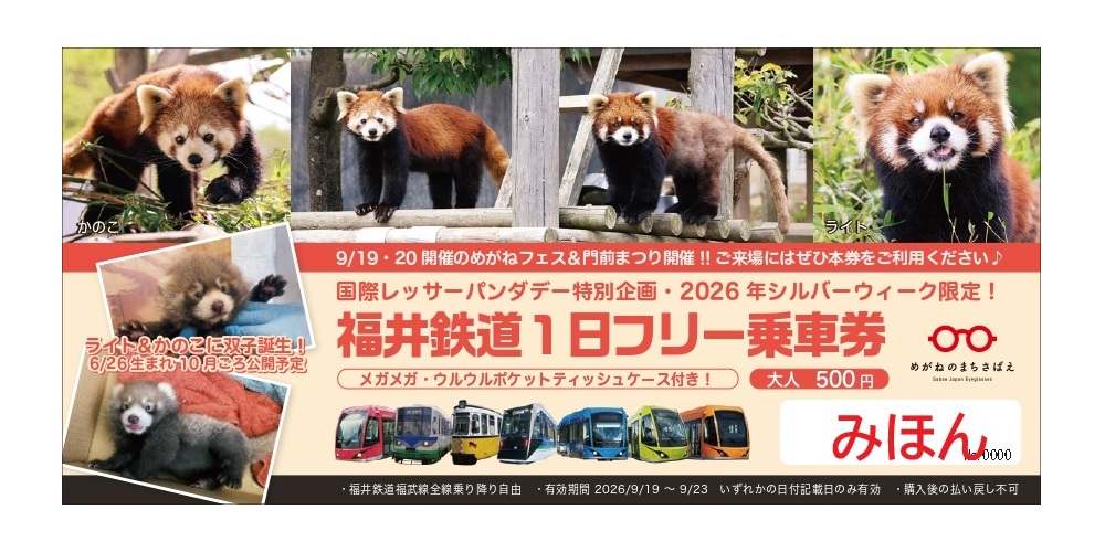 レッサーパンダ