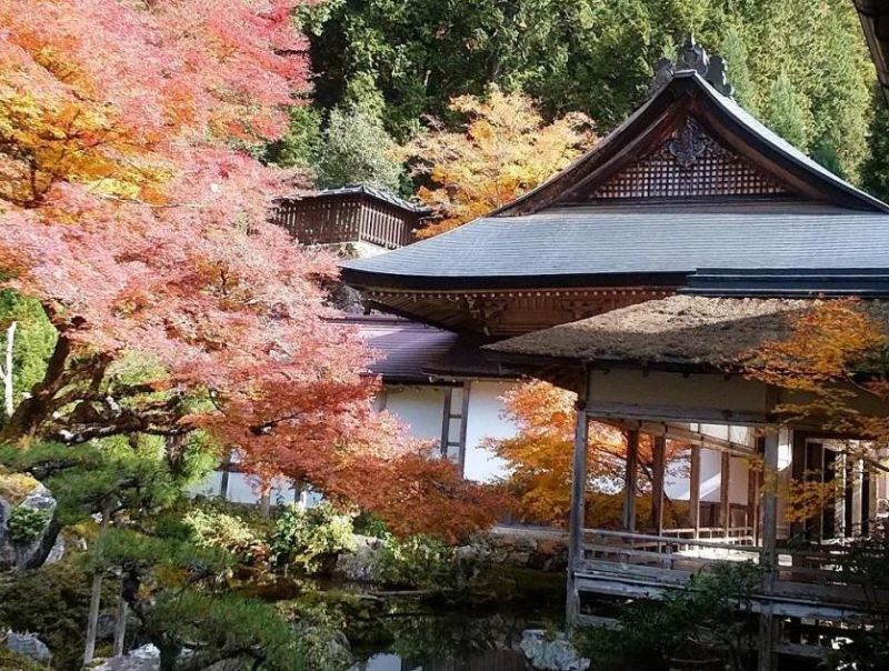 京そぞろー自然との戯れー